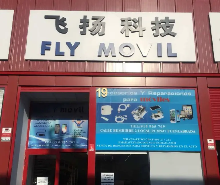 fly 768x646