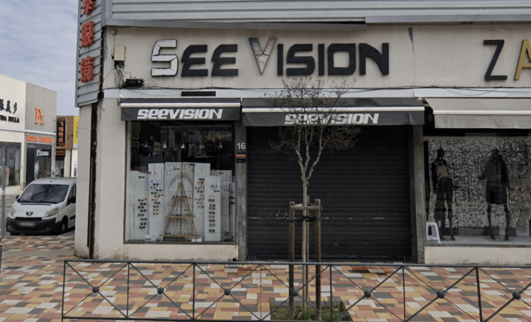 see vision 768x466